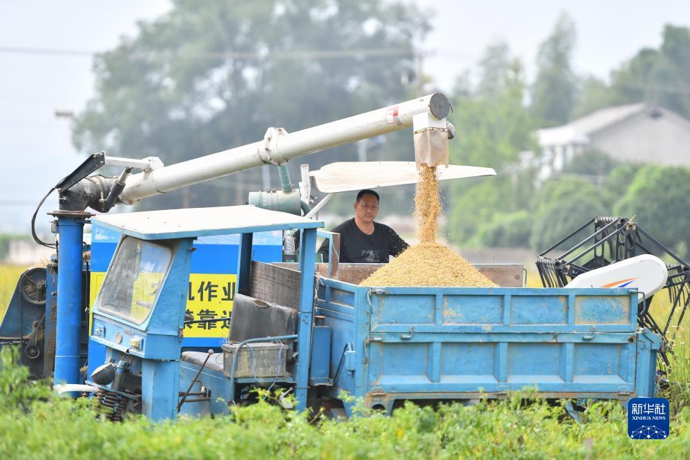澳门银银河下载